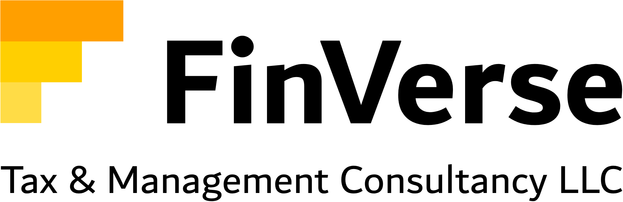 FinVerse Tax and Management Consultancy LLC